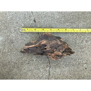 Ohio River Driftwood 6.25"x3.5"x3"